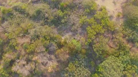 Aerial Cliffs to the Ocean Video stock 62444393