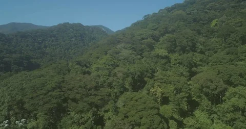 Aerial climbing through virgin Amazon mountain forest with peaks valley and sky Stock Footage 101288850