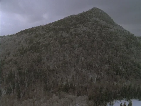 Aerial climbs up tree covered mountainside in snow then over the top. Stock Footage 86750539