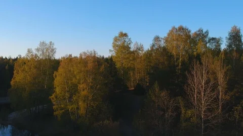 An aerial clip from drone to the trees Stock Footage 108803359