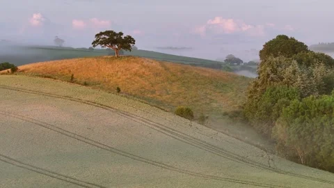 Aerial clip of rolling Devon countryside at dawn on a summer morning, Devon, Stock Footage 283947466