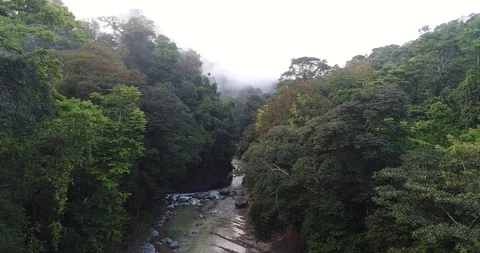 Aerial clip of valley and river lowland tropical rainforest of Costa Rica Stock Footage 86570109