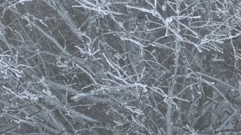 AERIAL, CLOSE UP: Abstract view of snowy branches forming complex frosty pattern Stock Footage 320744787