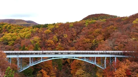 Aerial Close Up of Bridge Structure Surrounded by Autumn Leaves│Japan Stock Footage 329054382