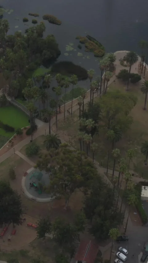AERIAL: Close Up on Echo Park Lake in Los Angeles with Palm Trees on Cloudy Day Stock Footage 337412685