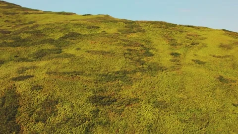 Aerial Close-Up Flight Over Green Grassy Hill Surface Texture Stockbeeldmateriaal 335814831