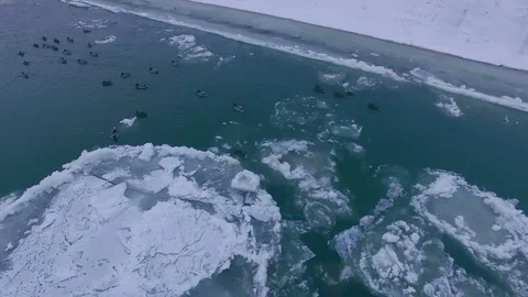 AERIAL: A close-up of a flock of ducks stuck among the ice floes. Stock-Footage 83817752