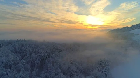 AERIAL CLOSE UP: Flying over spectacular snowy forest at foggy winter sunrise Stock Footage 80468530
