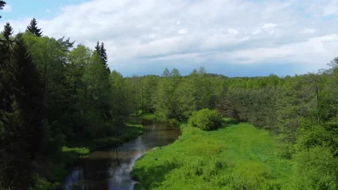 Aerial close-up flying through trees over a beautiful clear river Stock Footage 169924987