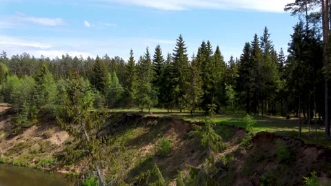 Aerial close-up going through trees in a green eastern european forest Stock Footage 169924362