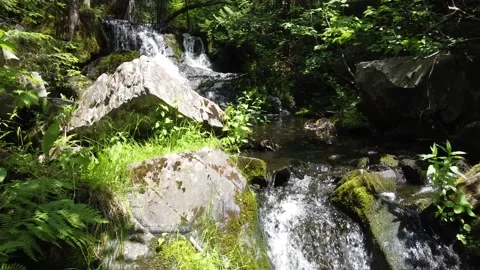 Aerial up close over tiny stream with beautiful rocks and logs leading to Video stock 162923245