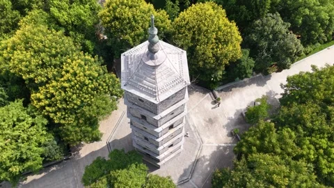 Aerial Close-up of Pagoda Summit D-Log Stock Footage 343087127