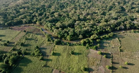 Aerial close-up panning view. Shocking d... | Stock Video | Pond5