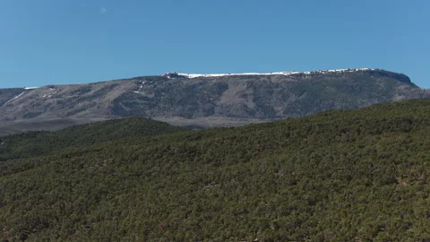 Aerial close up of pinyon pine forest below the Grand Mesa Colorado in spring Stock Footage 334344207