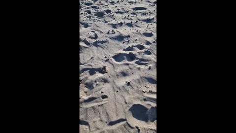 Aerial Close-Up of Sand Texture and Ripples on Beach, Jutland, Denmark Stock Footage 335538853