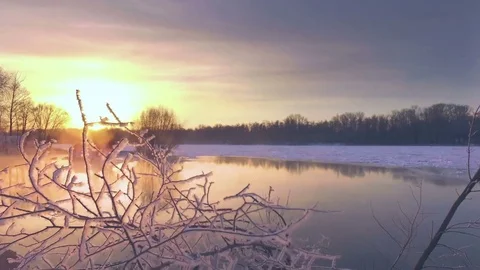 AERIAL: A close-up of the snow-covered branches of a tree in the river Stock Footage 83829178