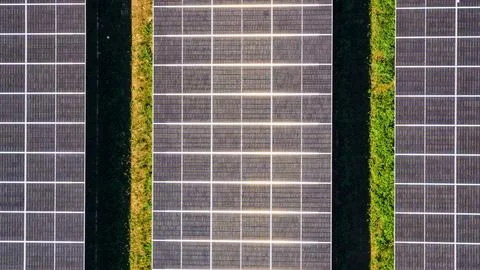 Aerial Close-Up of Solar Panel Rows with Green Vegetation Fotos Stock