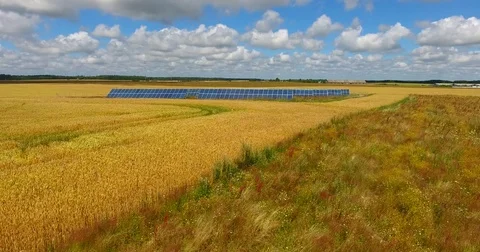 Aerial Close Up of Solar Panels Collecting Stock Footage