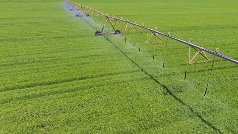 Aerial close view of center pivot irrigation system watering green field 動画素材 333643312