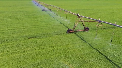 Aerial close view of center pivot irrigation system watering green field Видео 333643333