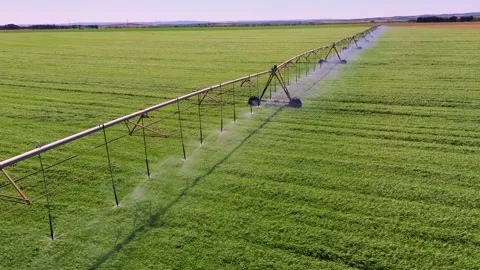 Aerial close view of center pivot irrigation system watering green field Stockbeeldmateriaal 333643358