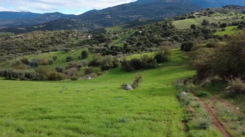 Aerial close view of lush field and rugged dirt path near forest hillside Vídeos de archivo 337460050