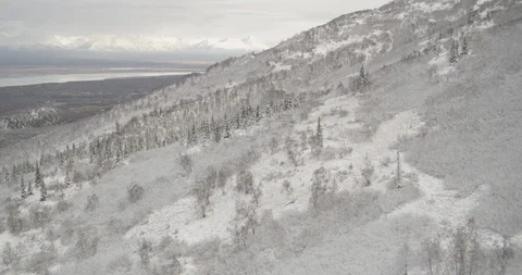 Aerial closeup helicopter shot across snowy trees at mountain peak, another Stock Footage 108564240