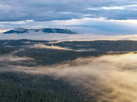 Aerial cloud inversion above boreal forest in the Rockies Stock Photos