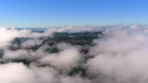 Aerial Clouds Over Pine Forestry Plantation, Misiones Argentina Stock Footage 340339666