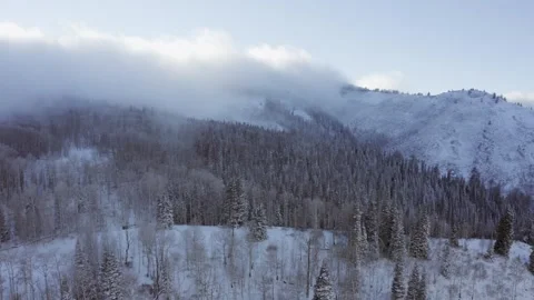 Aerial-Clouds sit on mountain top pine forest Stock-Footage 143128085