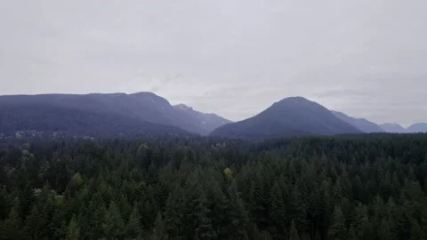 Aerial Cloudy Mountain Forest View over North Vancouver Stock Footage 233048233