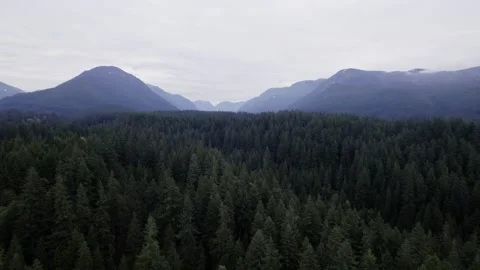 Aerial Cloudy Mountain Forest View in North Vancouver Stockbeeldmateriaal 233048253