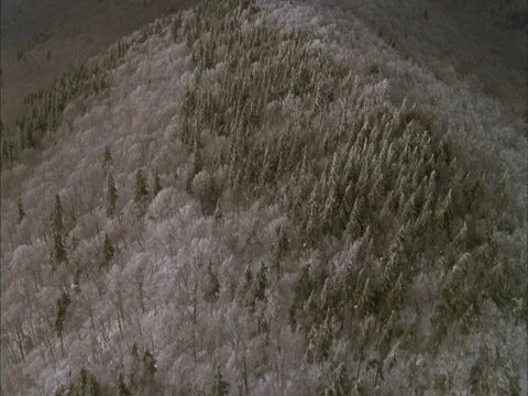 Aerial clumbs up mountain side over snow covered trees, reveals frozen lake Stock Footage 86750527