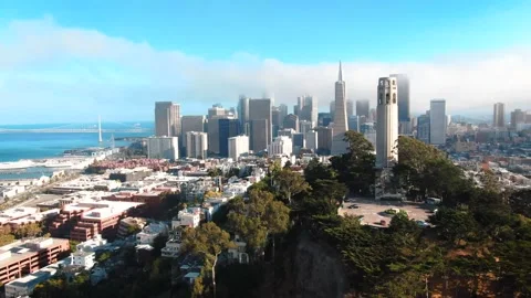 Aerial of Coit Tower Stock Footage 168448125