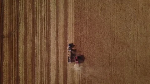 Aerial - Combine Unloading Wheat Into Truck Stock-Footage 79801341