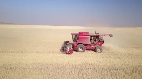 Aerial - Combine in Wheat Field Video stock 79771832