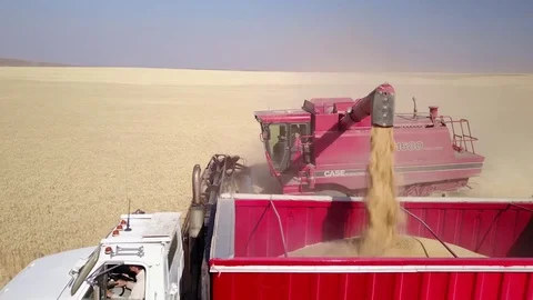 Aerial - Combine in Wheat Field Stock-Footage 79772958