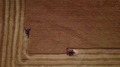 Aerial - Combine in Wheat Field Stockbeeldmateriaal 79773285