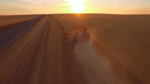 Aerial - Combine in Wheat Field Video stock 79773680