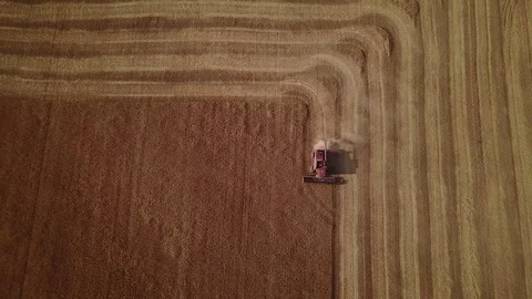 Aerial - Combine in Wheat Field Video stock 79774012
