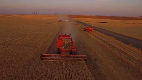 Aerial -  Combine in Wheat Field Stock Footage 79775983