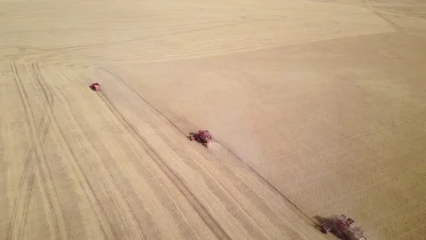 Aerial - Combines in Wheat Field Stock Footage 79772527