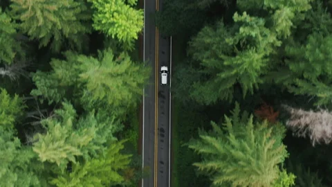 Aerial comfortable SUV car driving by road highway in dense forest to mountains Stock Footage 160182794