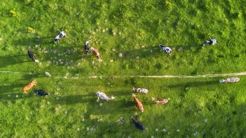 Aerial composition on the farm Stock Photos