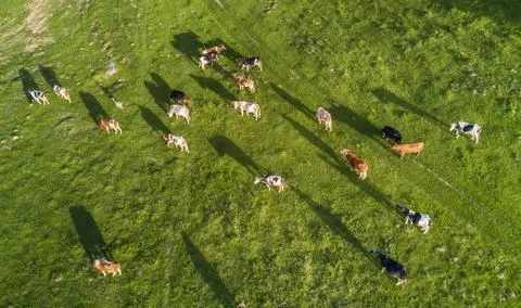 Aerial composition on the farm Stock Photos