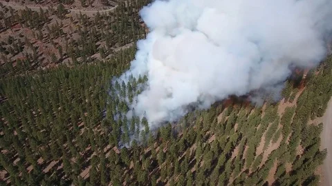 Aerial control burn forest fire on dry mountain Stock Footage 83495293
