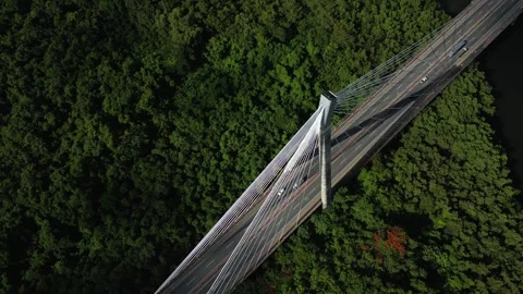 Aerial copy space view of sunlit large suspension bridge over the green forest Stock Footage 245569251