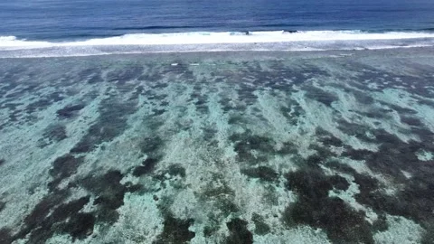 Aerial Coral Pan Stock Footage 221114992