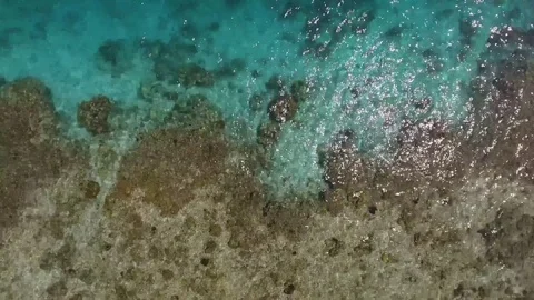 Aerial of a Coral Reef Stock Footage 78683041