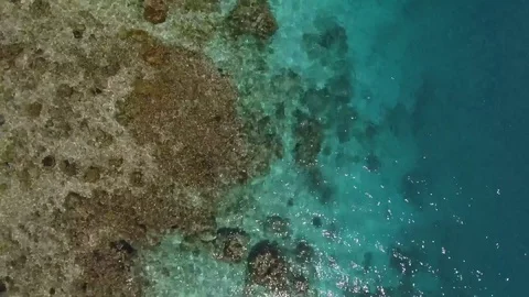 Aerial of a Coral Reef Stock Footage 78683044